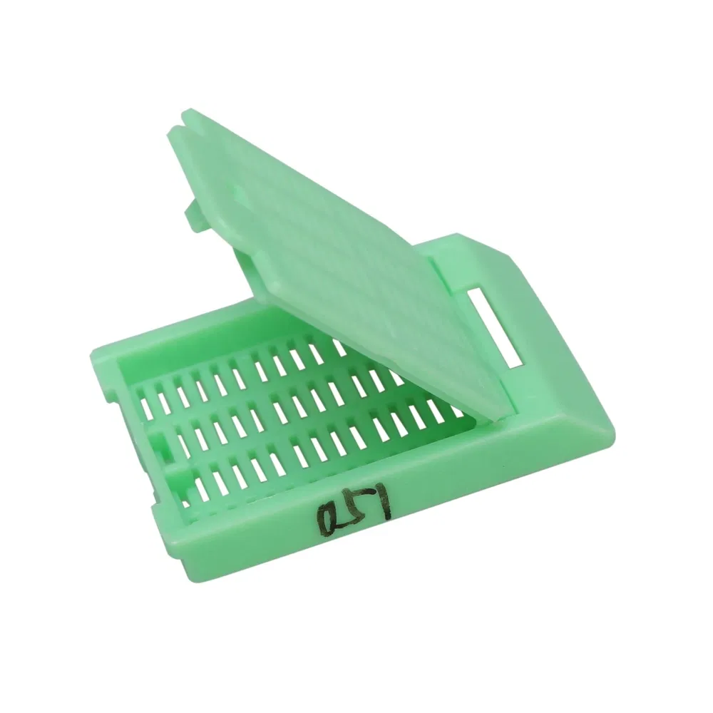 ~!phoenix_varIMG63!~