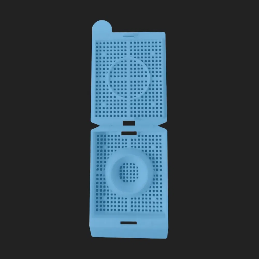 ~!phoenix_varIMG63!~