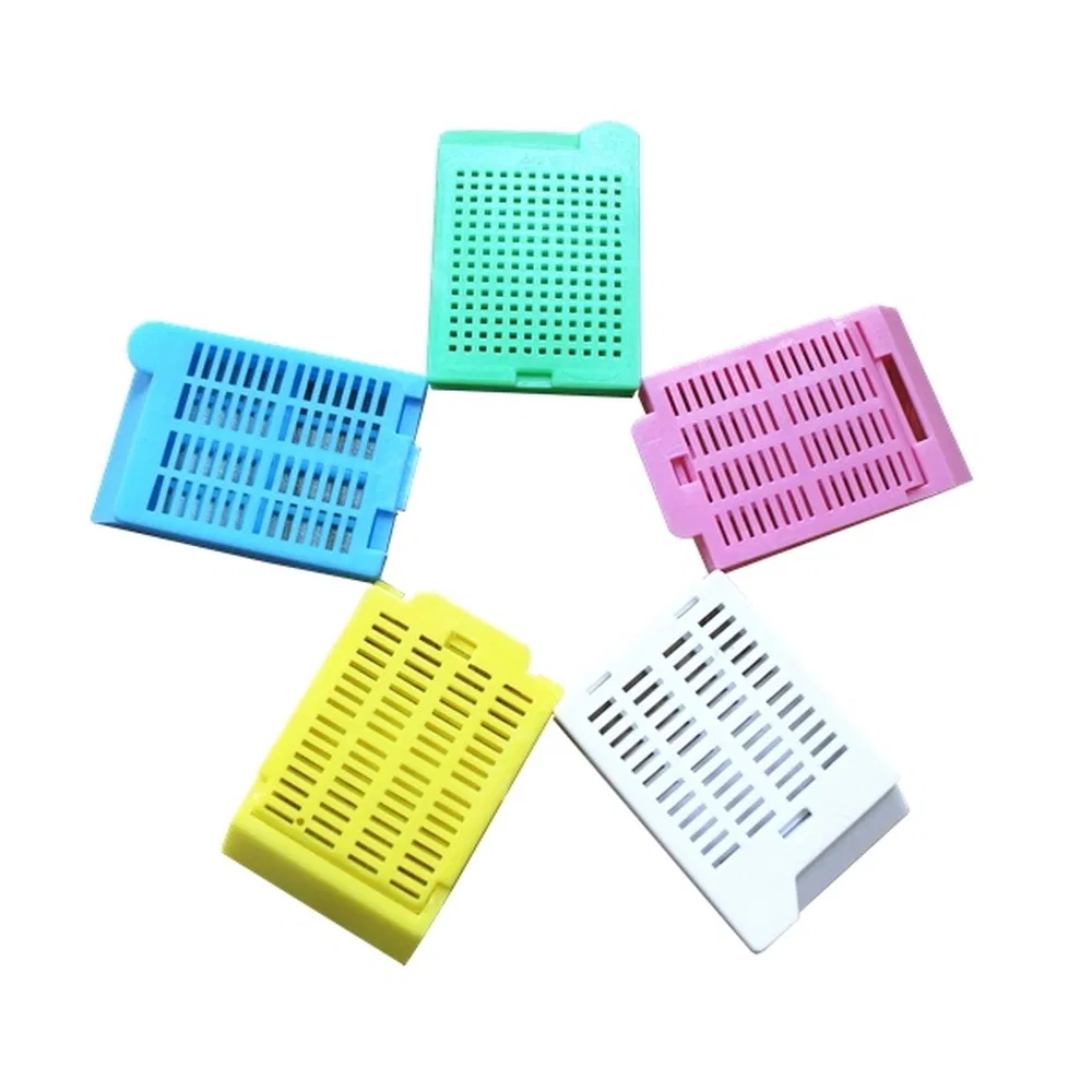 ~!phoenix_varIMG63!~