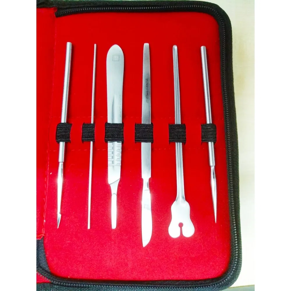 ~!phoenix_varIMG61!~