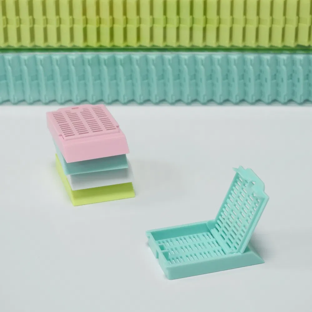 ~!phoenix_varIMG63!~