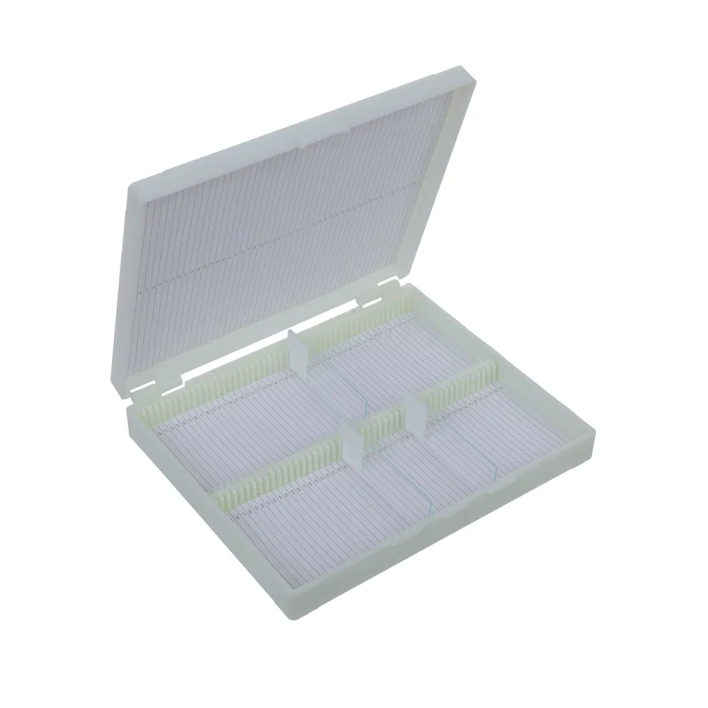 ~!phoenix_varIMG58!~