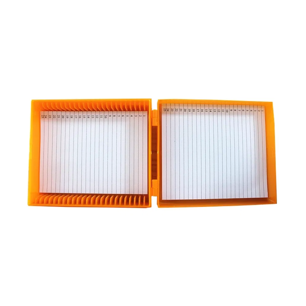 ~!phoenix_varIMG58!~