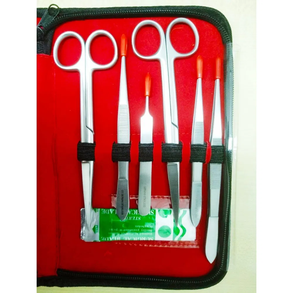 ~!phoenix_varIMG61!~