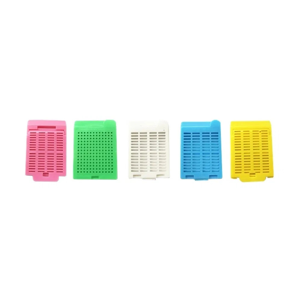 ~!phoenix_varIMG63!~