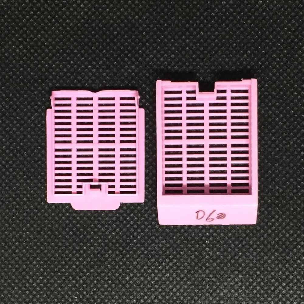 ~!phoenix_varIMG63!~