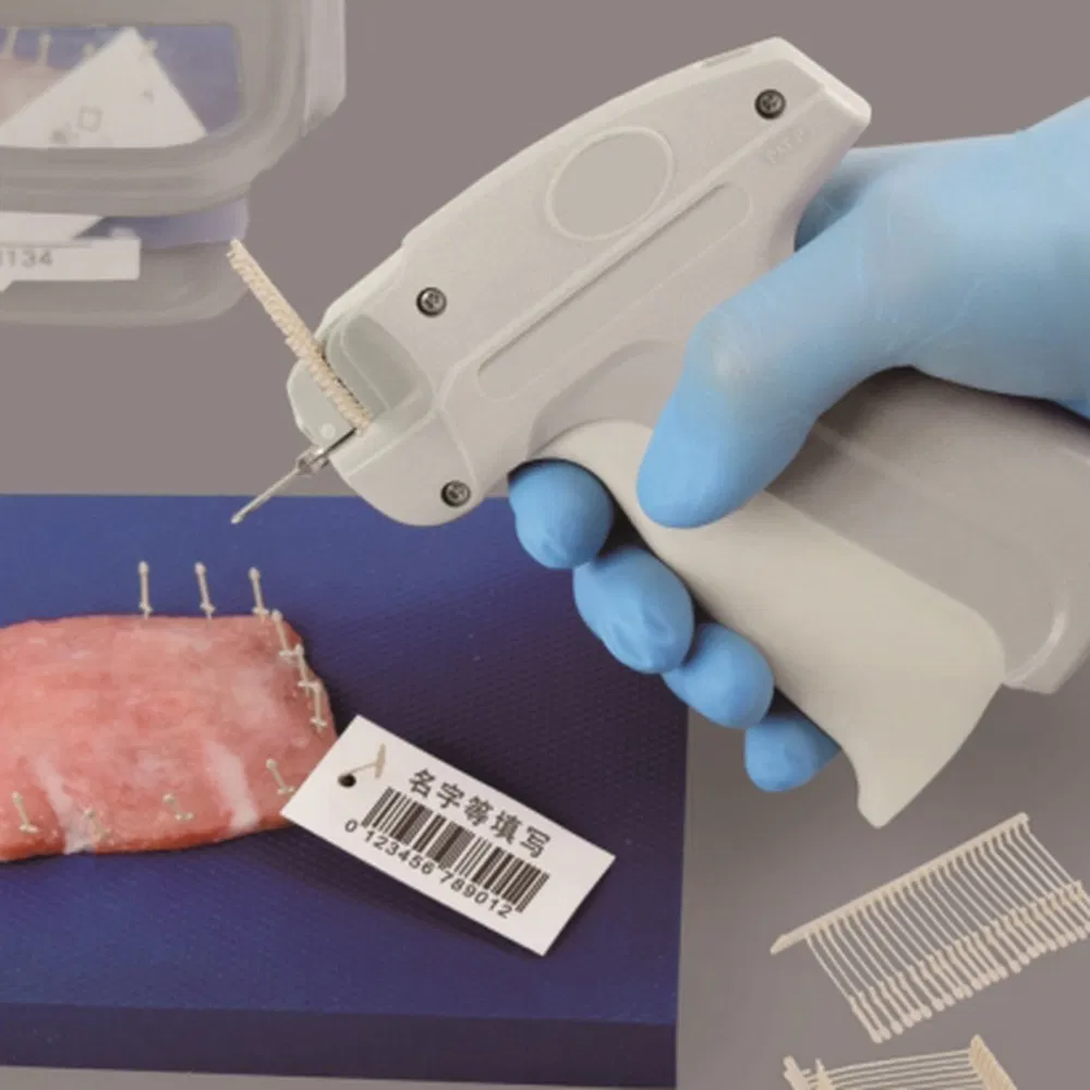 ~!phoenix_varIMG61!~