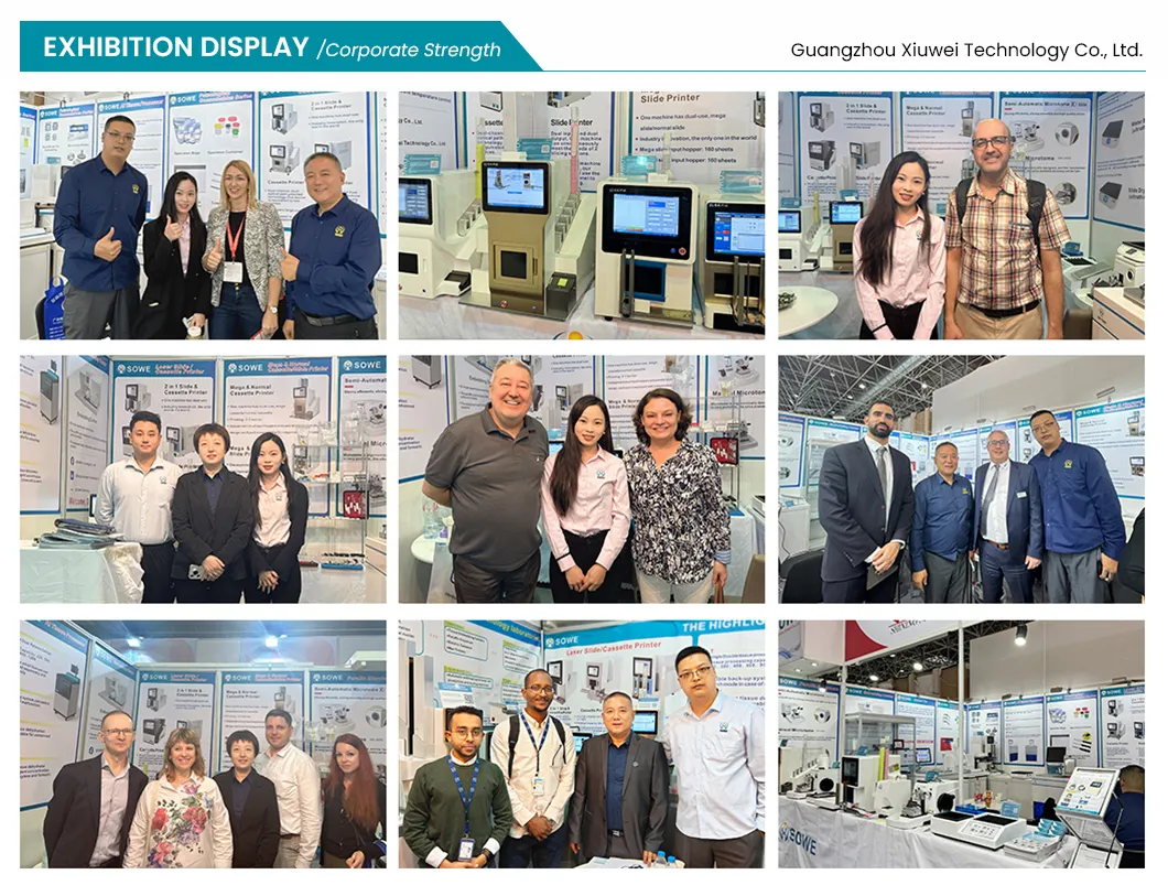 Factory Direct Sales Customizable Size High Quality Sampling Medical Glass Dissection Board 