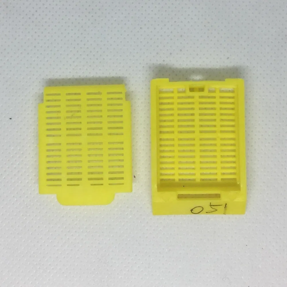 ~!phoenix_varIMG63!~