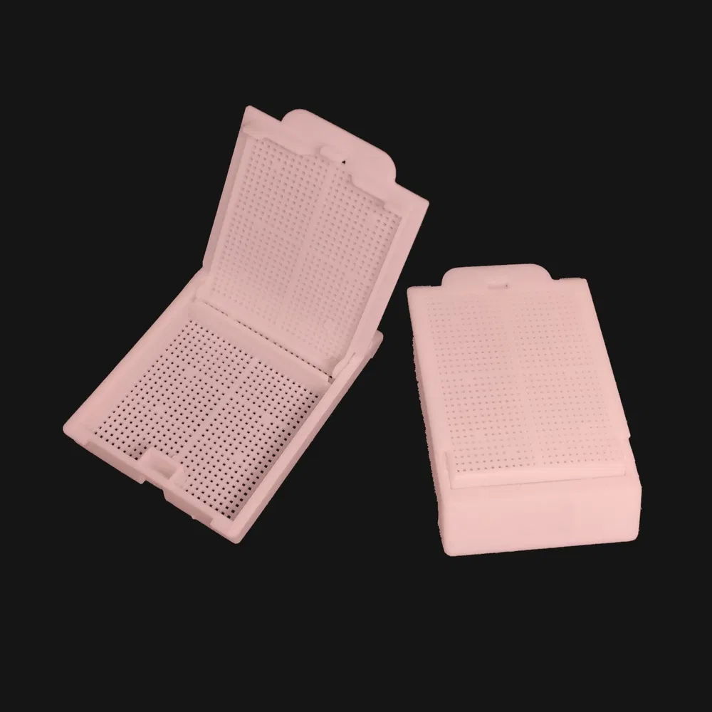 ~!phoenix_varIMG63!~