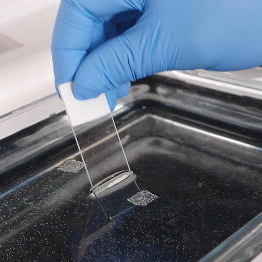 Water Bath and Slide Dryer Laboratory Equipment Ultrasound Scanner Surgical Instrument Patient Monitor Electric Bed Dental Supplies 