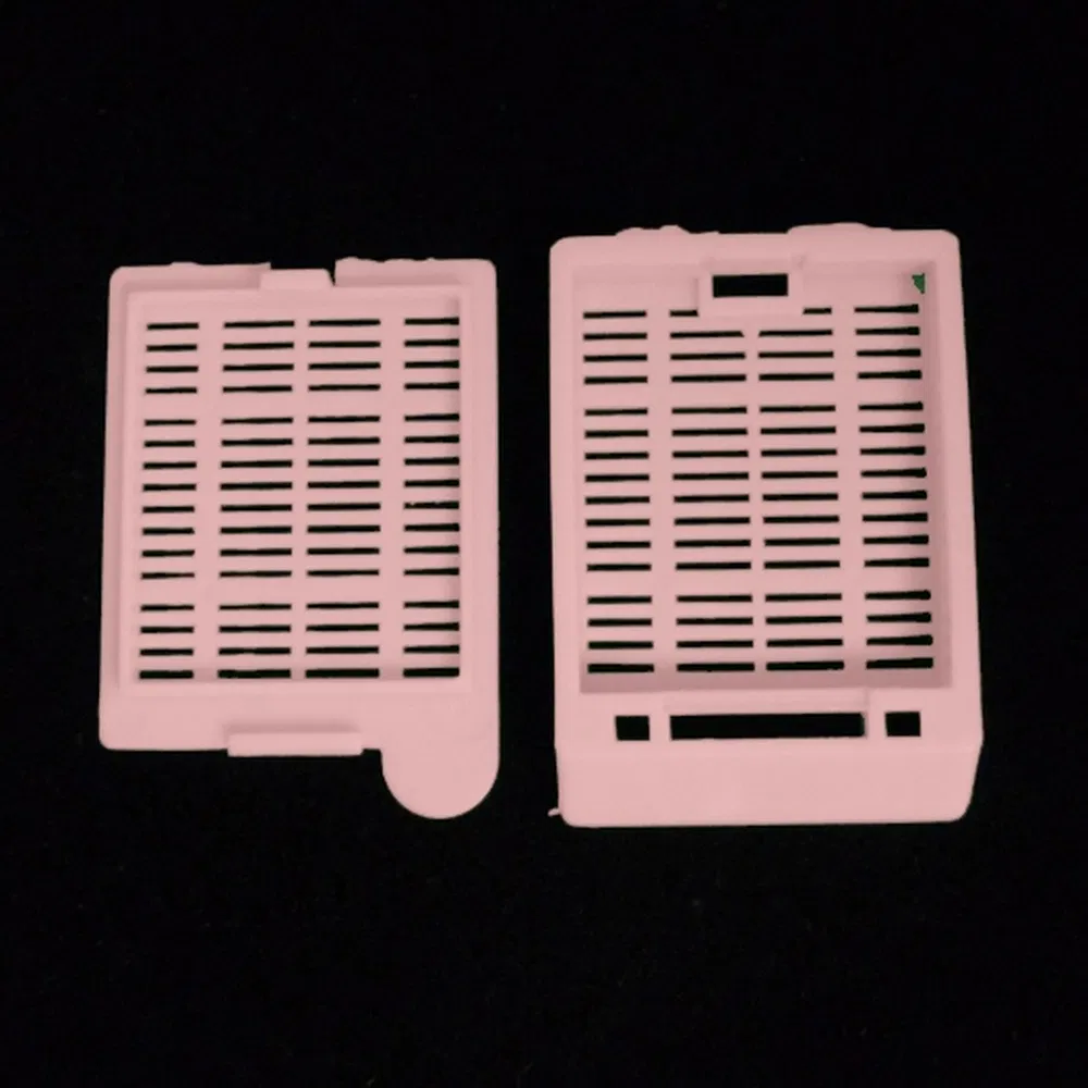 ~!phoenix_varIMG63!~