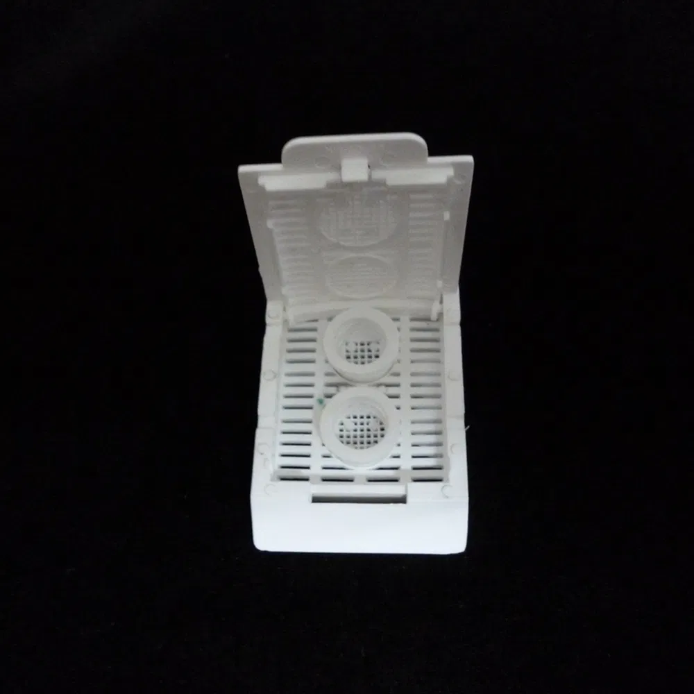 ~!phoenix_varIMG63!~