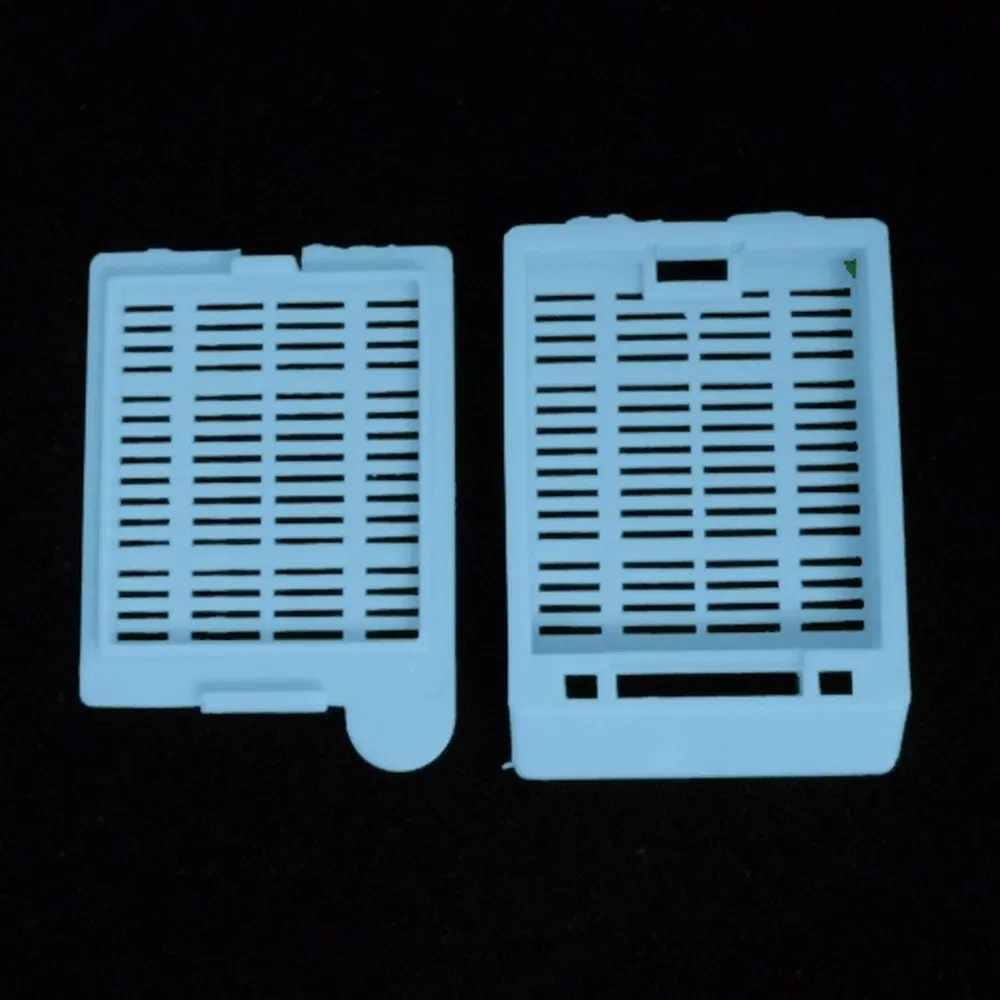 ~!phoenix_varIMG63!~