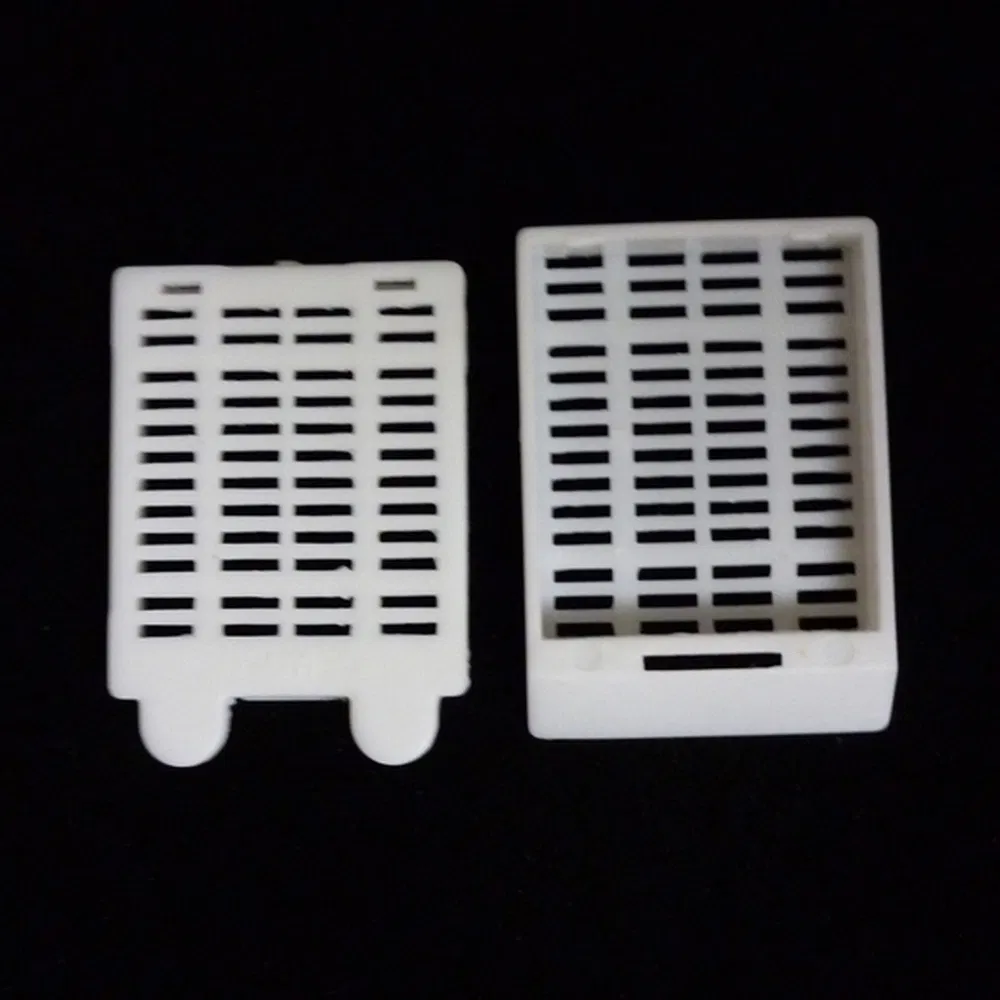 ~!phoenix_varIMG63!~