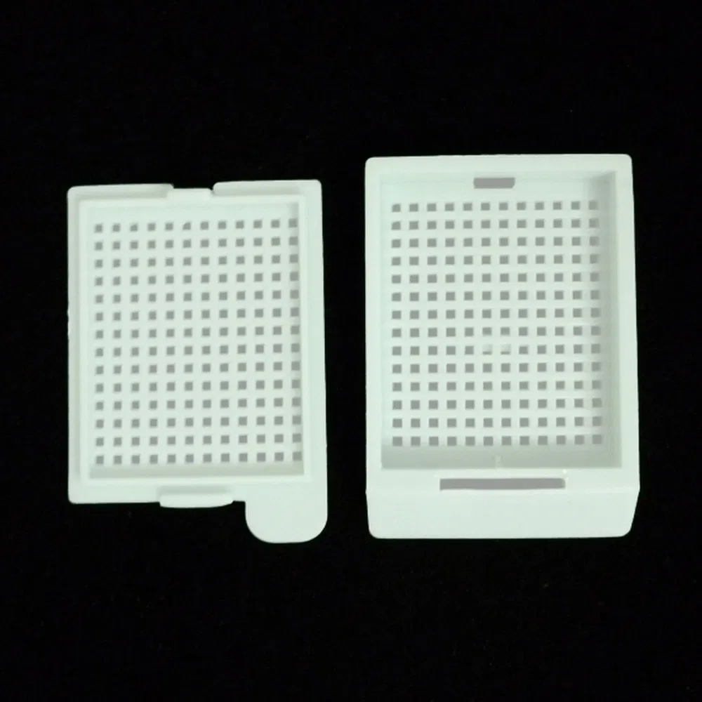 ~!phoenix_varIMG63!~