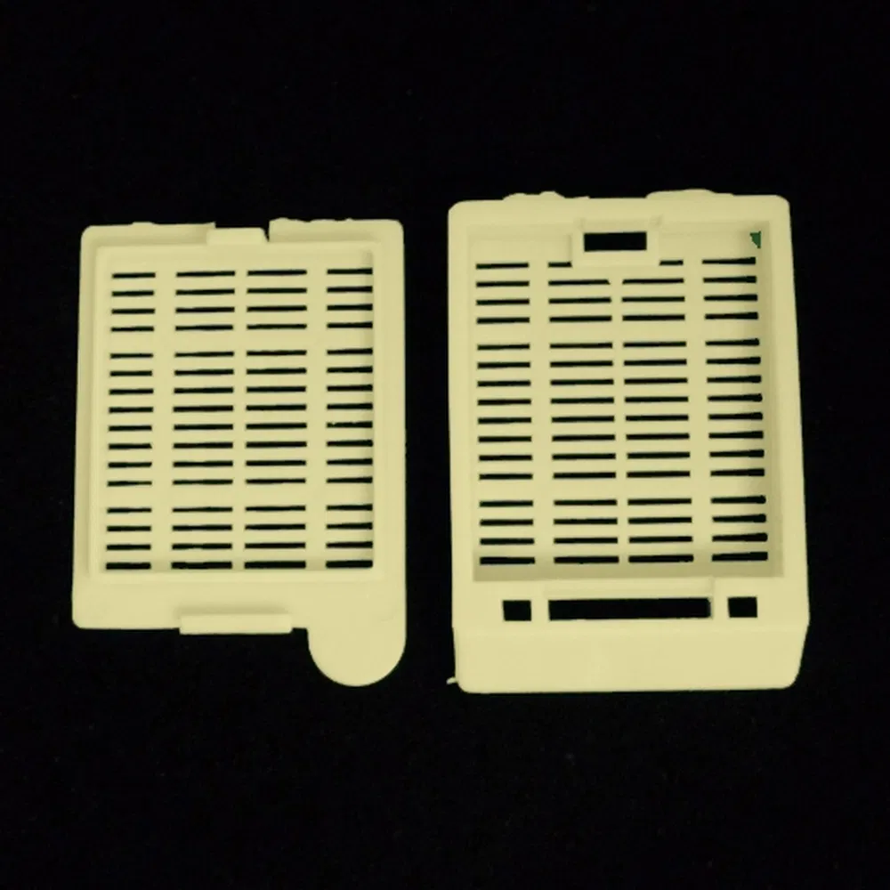 ~!phoenix_varIMG63!~