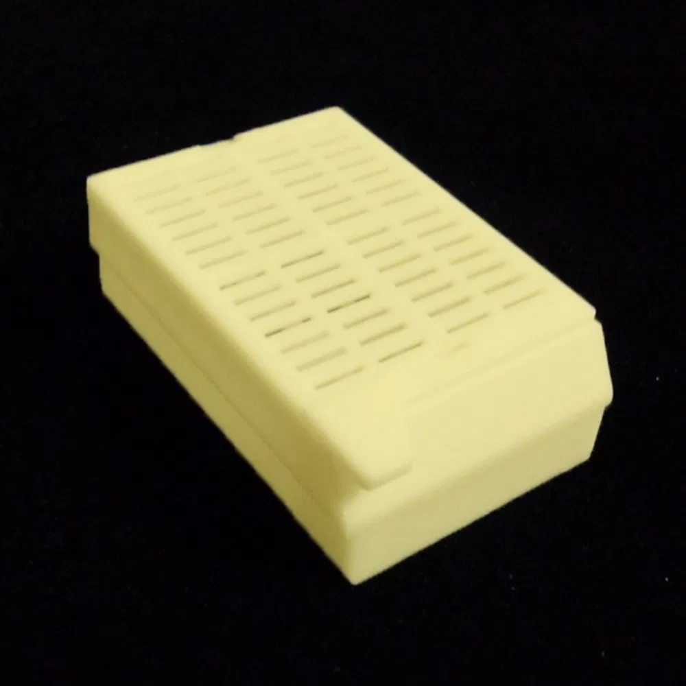 Disposable Laboratory Specimen Biopsy Embedding Kassette zur Krankenhauspathologie Gewebeanalyse Einweg 