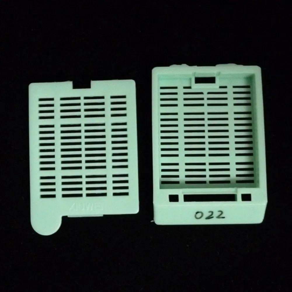 ~!phoenix_varIMG63!~