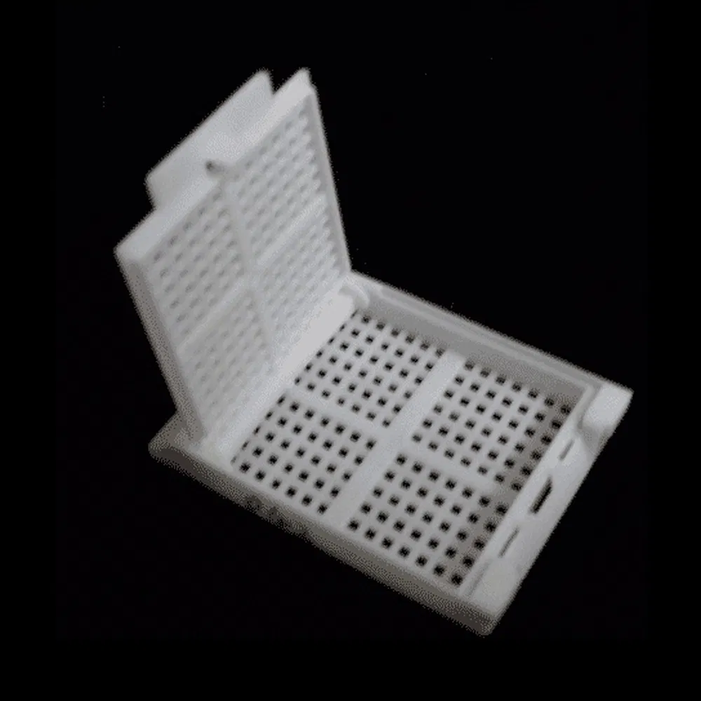 ~!phoenix_varIMG63!~