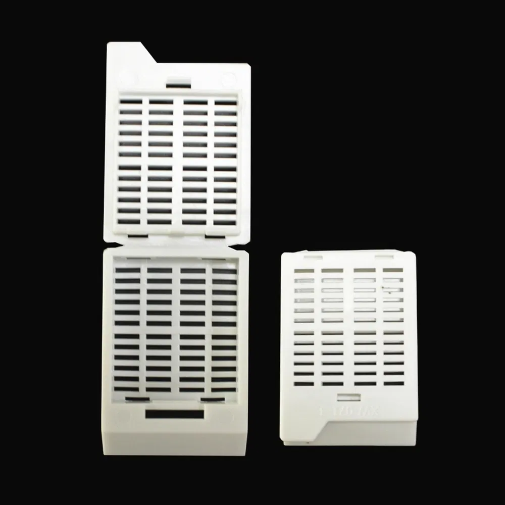 ~!phoenix_varIMG63!~