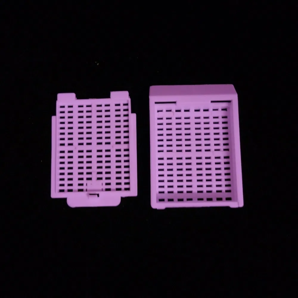 ~!phoenix_varIMG63!~