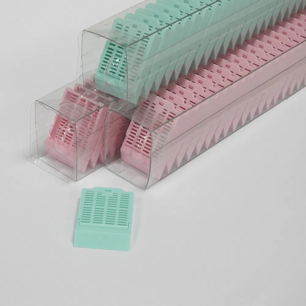 ~!phoenix_varIMG63!~