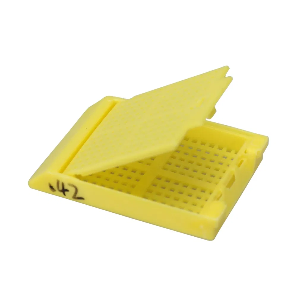 ~!phoenix_varIMG63!~