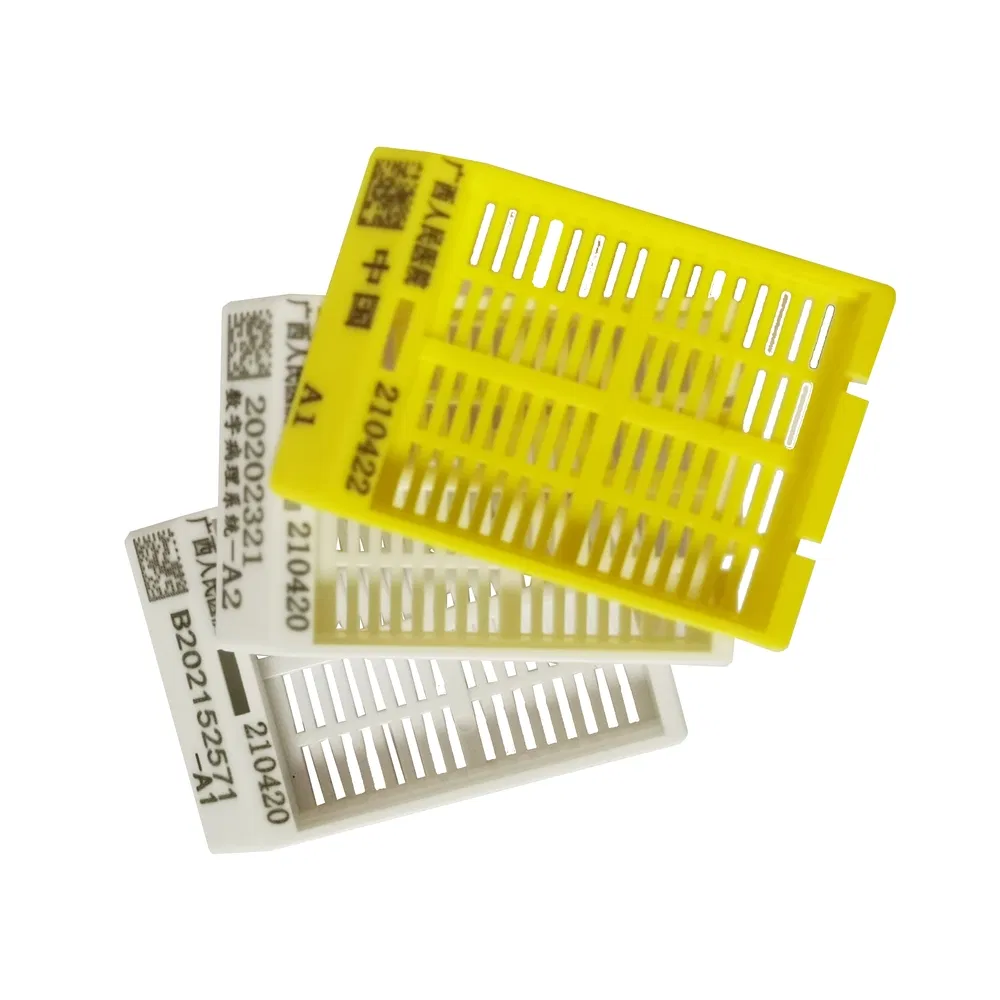 ~!phoenix_varIMG63!~