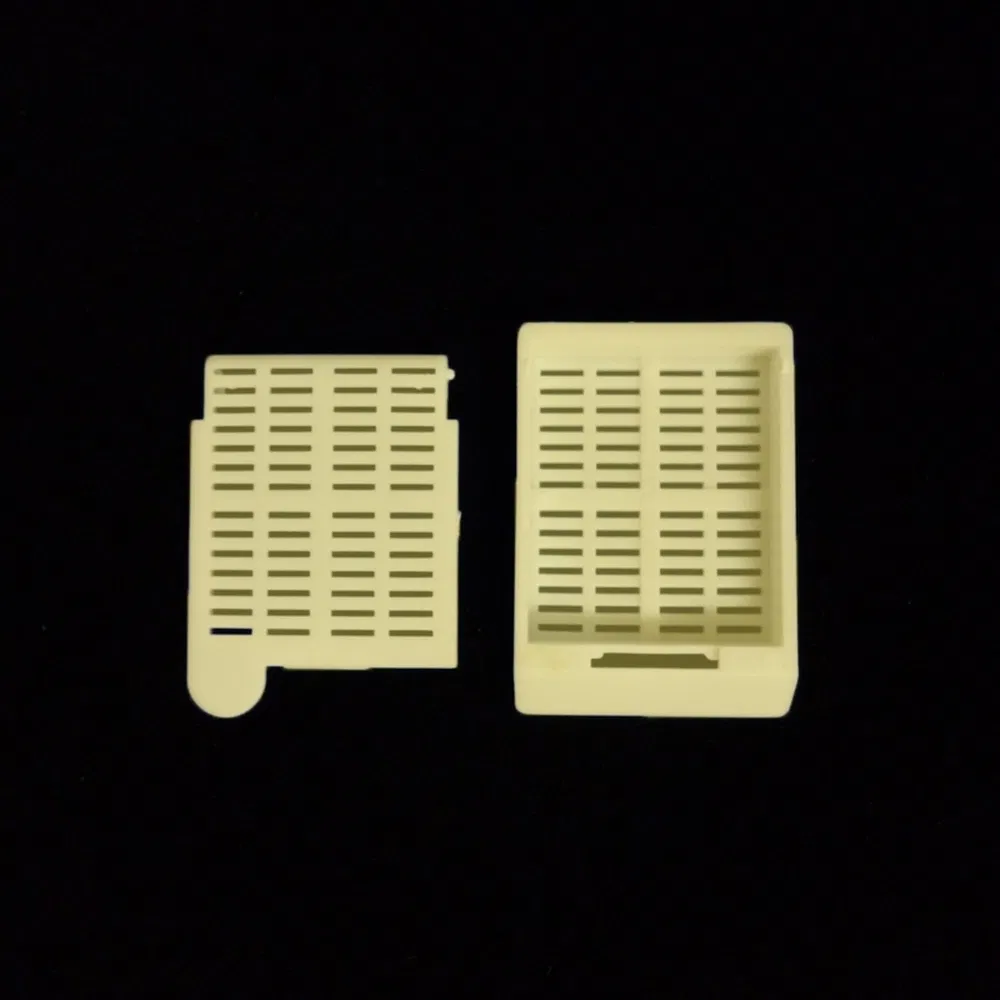 ~!phoenix_varIMG63!~