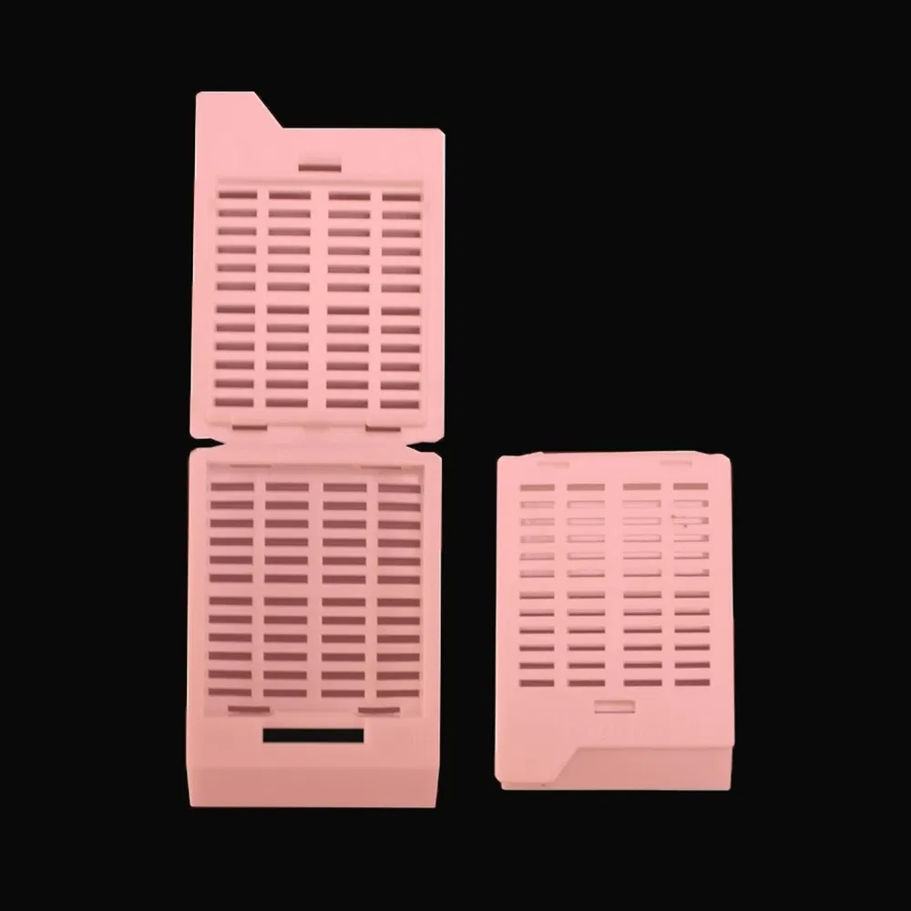 ~!phoenix_varIMG63!~