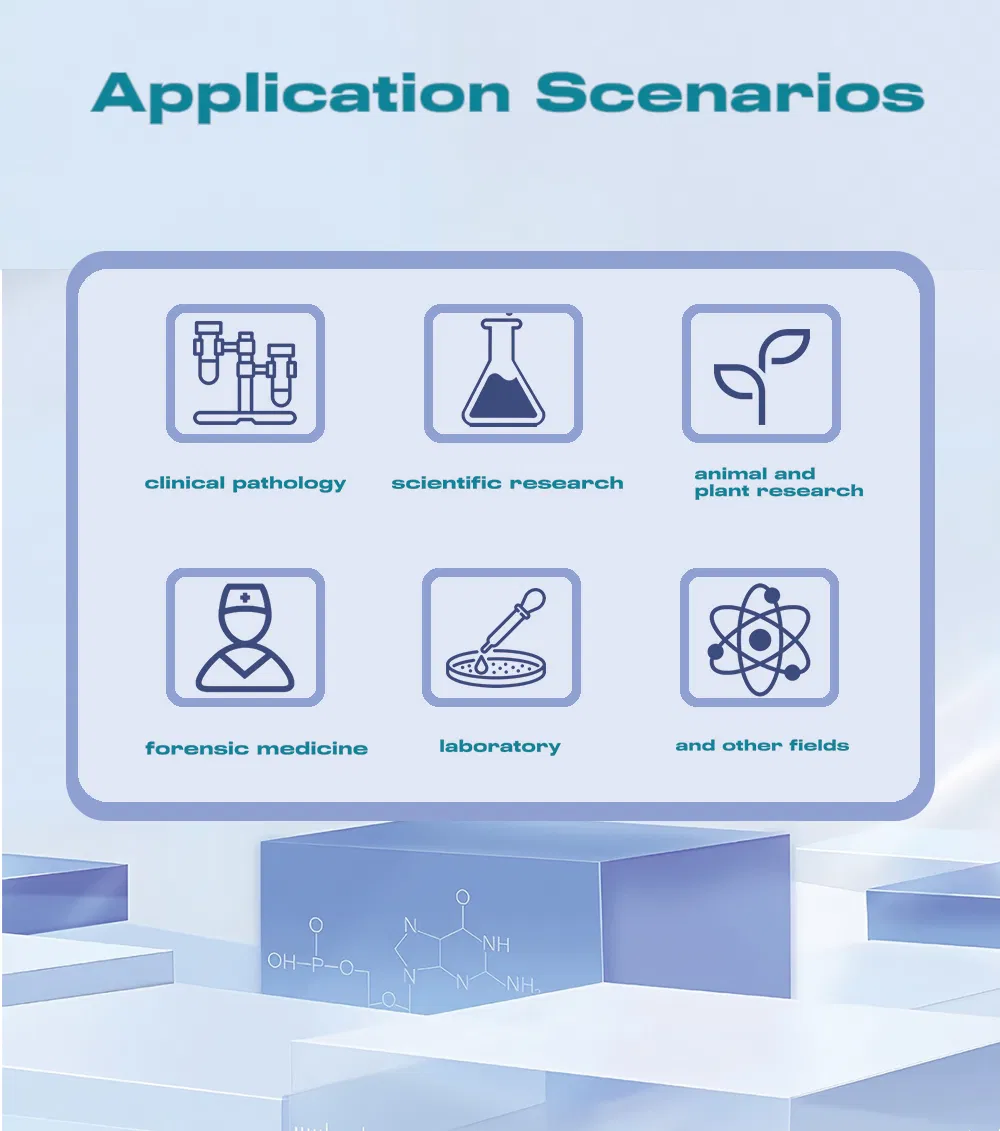 Embedding Cassette Laboratory Product Thermometer Orthopedic Instrument Drugs Embedding Cassette 