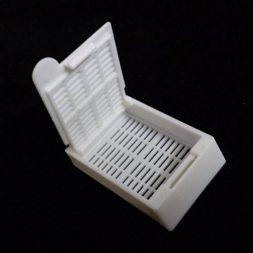 China Manufacturers Disposable Medical Supplies Tissue Embedding Cassette Box for School Lab 