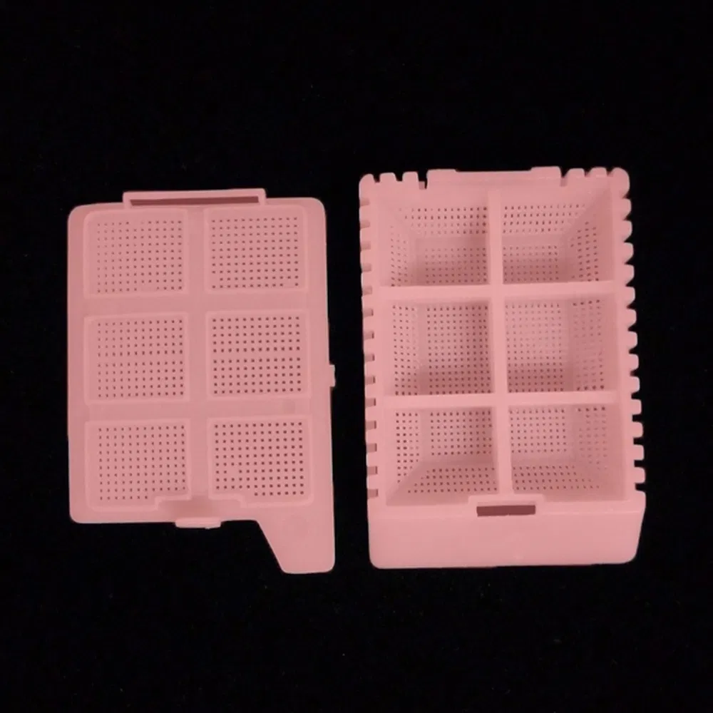 ~!phoenix_varIMG63!~