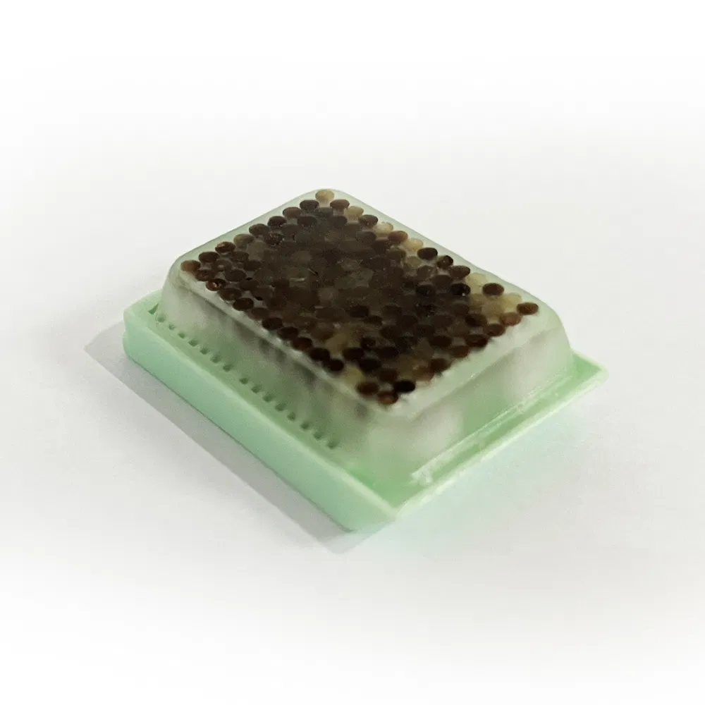 Versorgung Gewebe Microarray Block verwendet f&uuml;r vergleichende Pathologie Hochqualit&auml;t Hochqualit&auml;ts -Entsorgung 