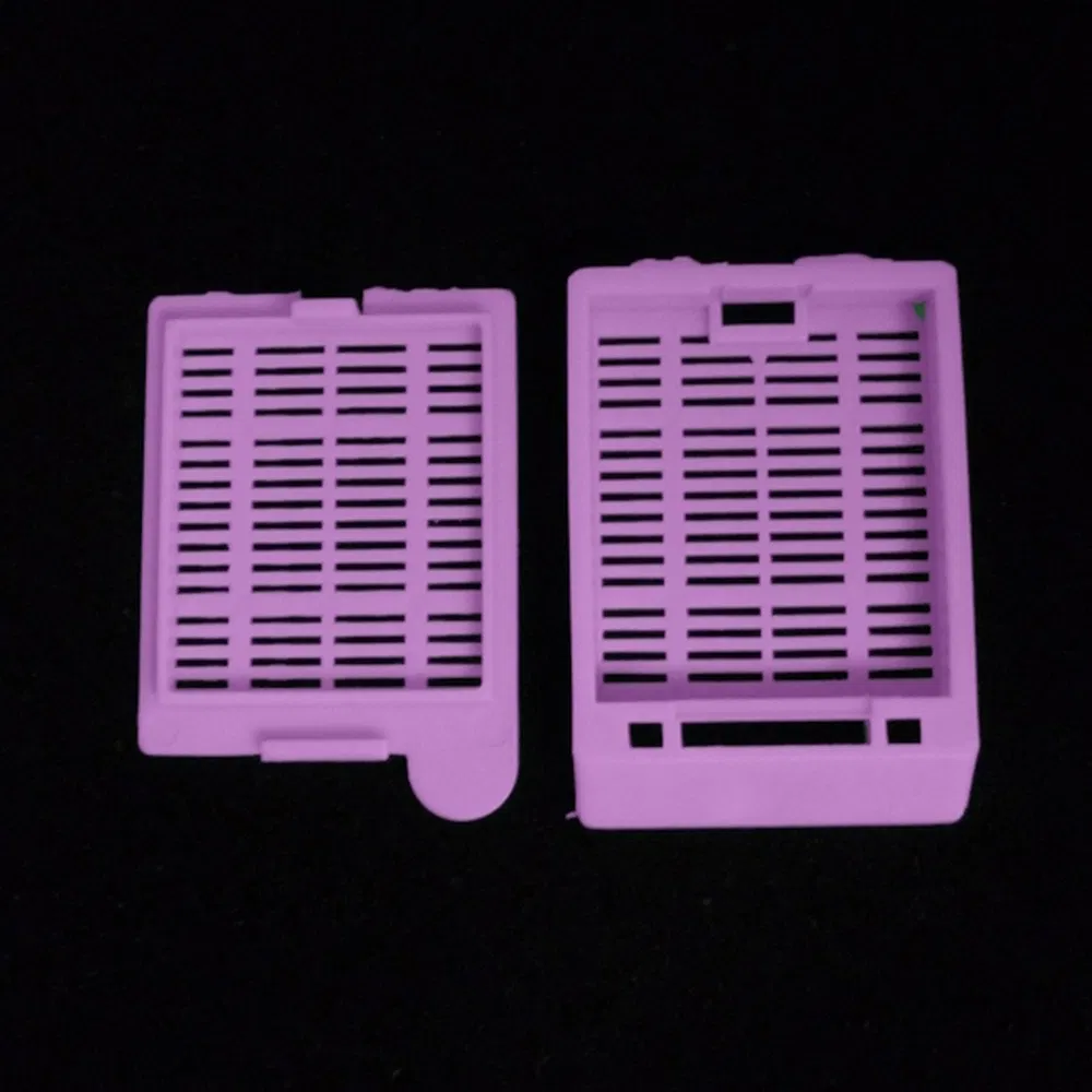 ~!phoenix_varIMG63!~