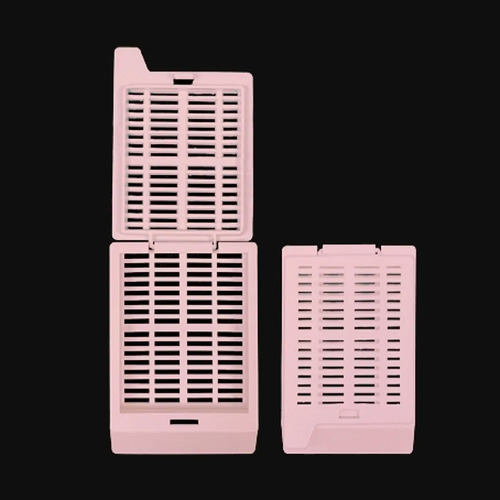 ~!phoenix_varIMG63!~