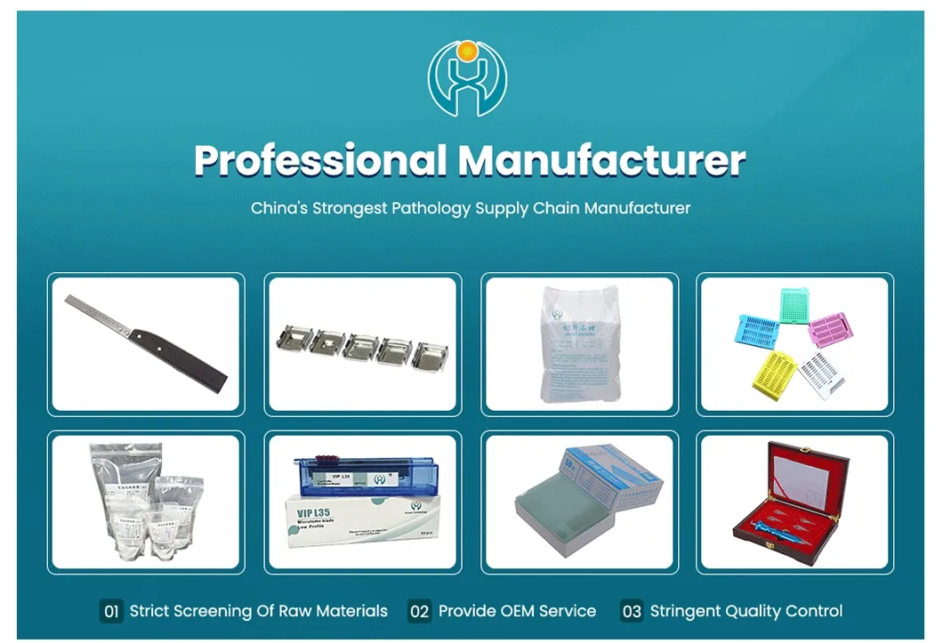 China Suppliers Customized Color Plastic Tissue Embedding Cassette Box for Environmental Toxicology 