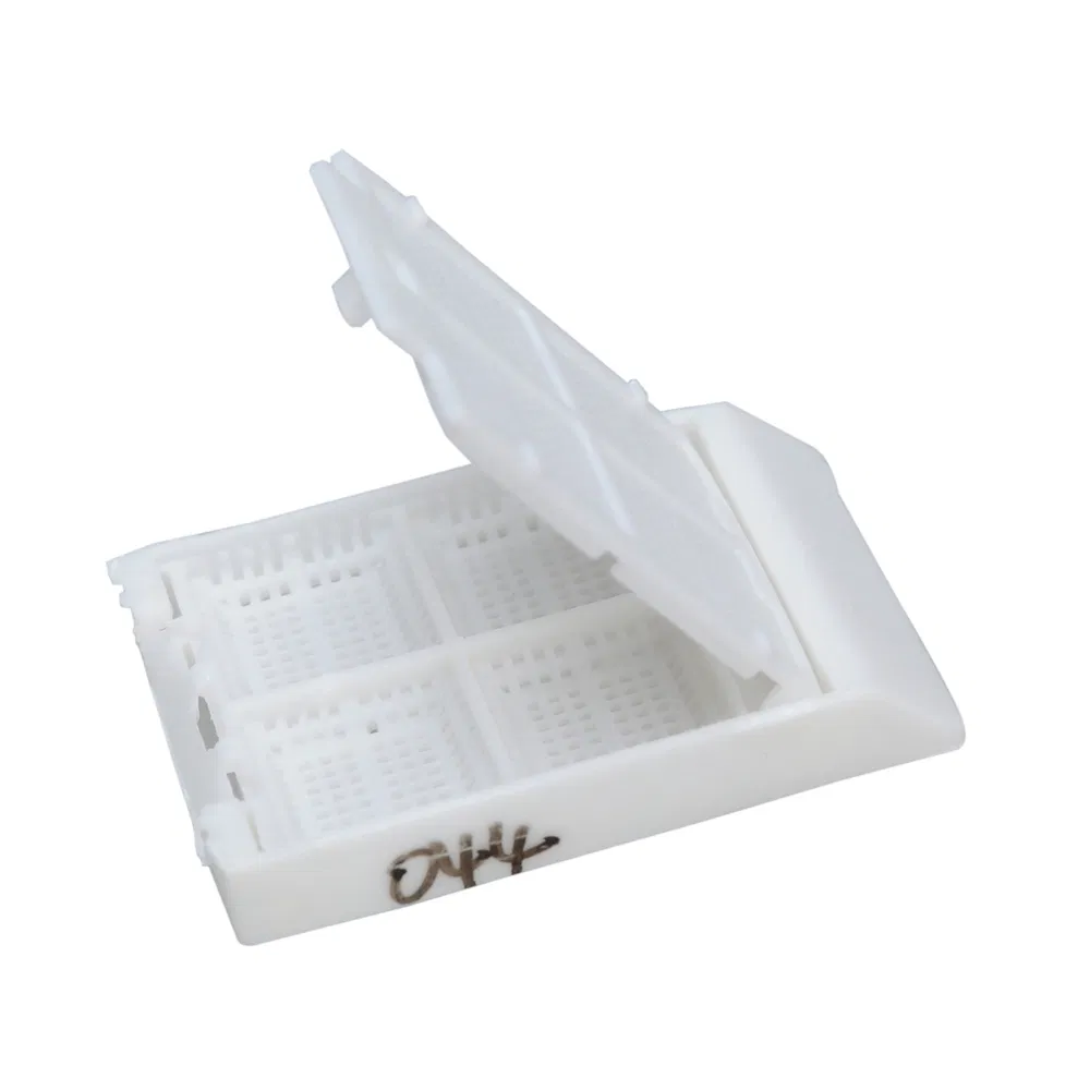 ~!phoenix_varIMG63!~