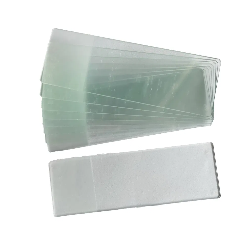 -Glas -Glas -Glides f&uuml;r detaillierte Zellkultur Laborstudien 