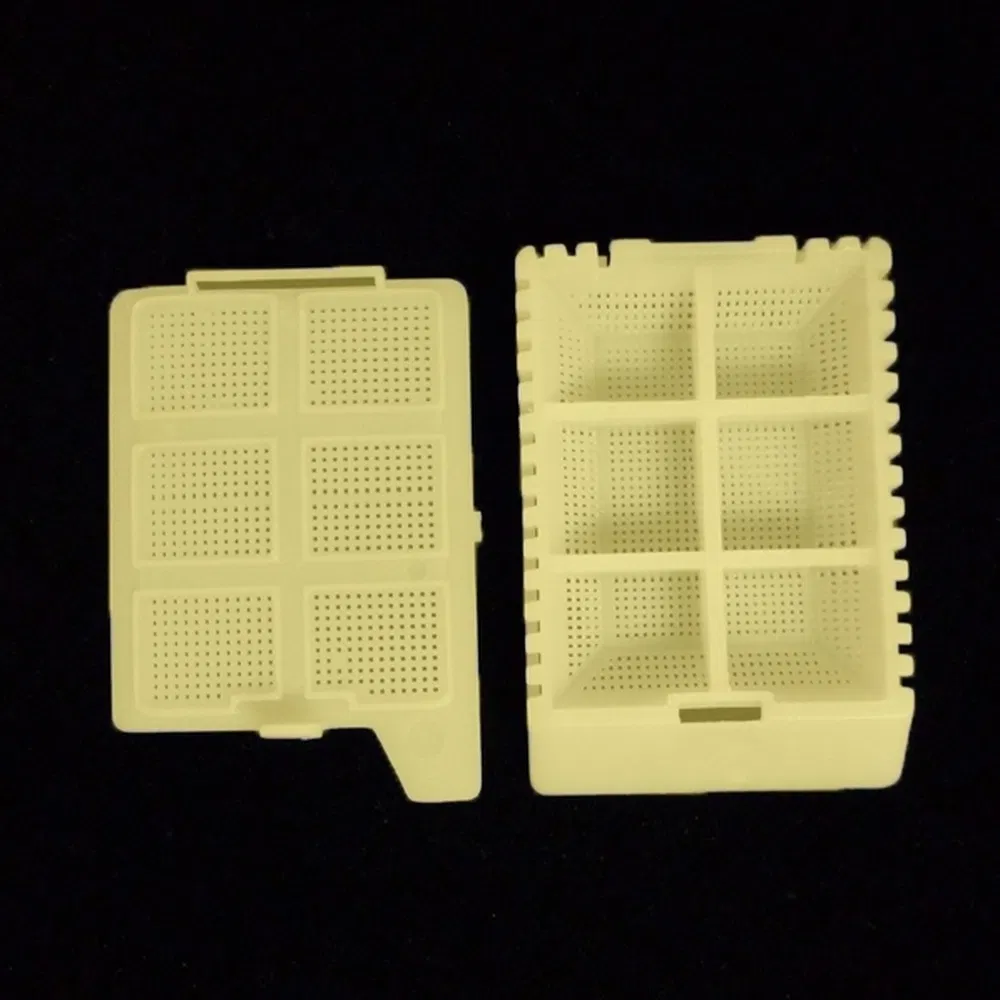 ~!phoenix_varIMG63!~