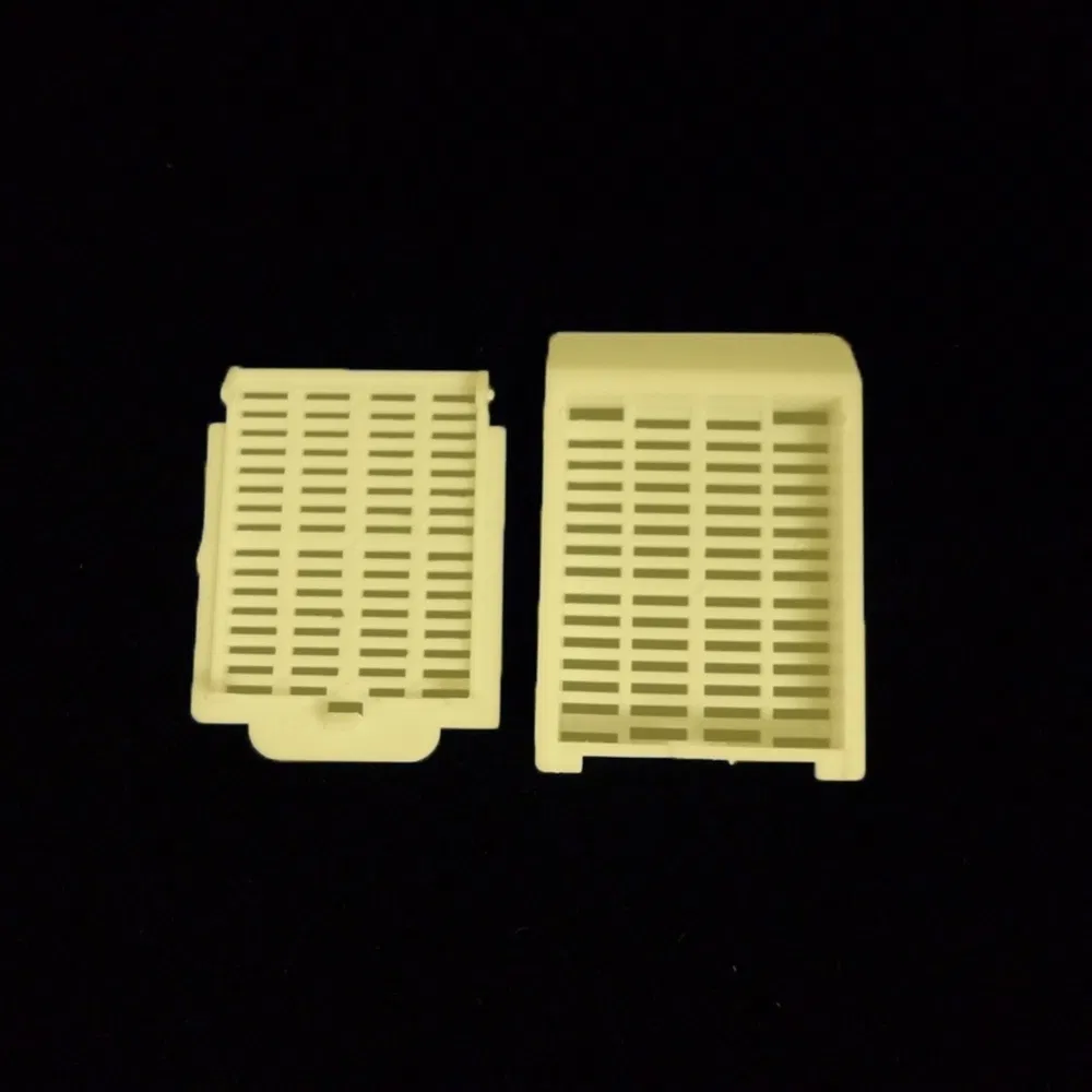 ~!phoenix_varIMG63!~