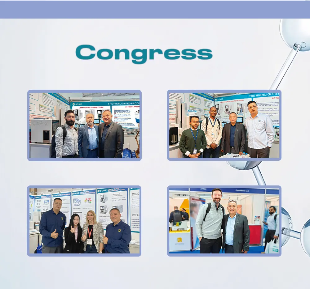 Tissue Embedding Center Skin Care Beauty Equipment Patient Monitor Syringe Laboratory Instrument Medical Bed Disposable Laboratory Dental Embedding 