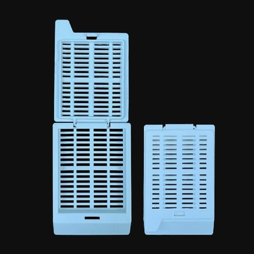 ~!phoenix_varIMG63!~