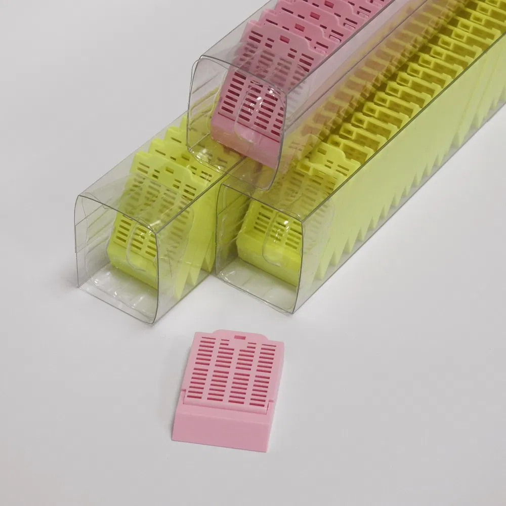 ~!phoenix_varIMG63!~