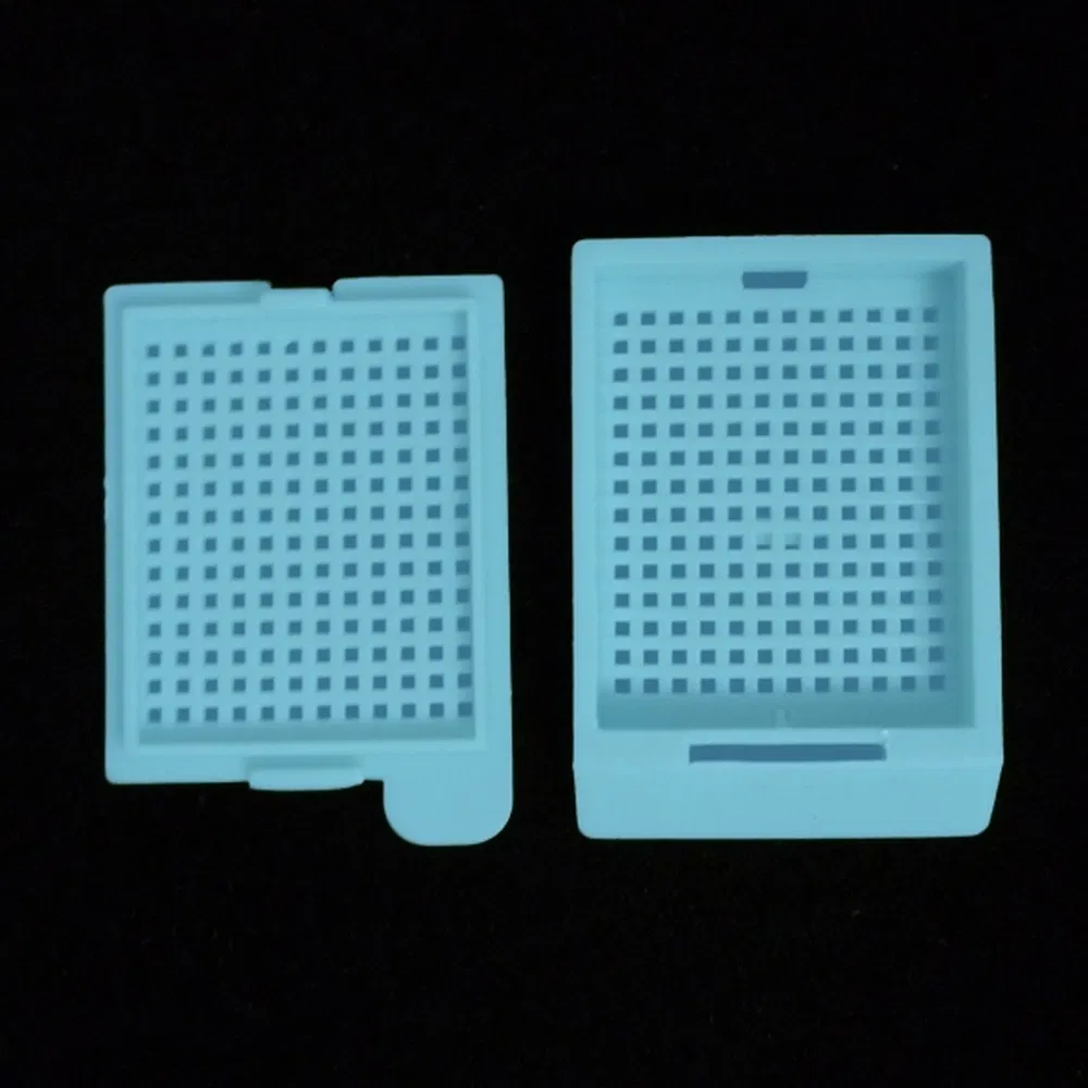 ~!phoenix_varIMG63!~