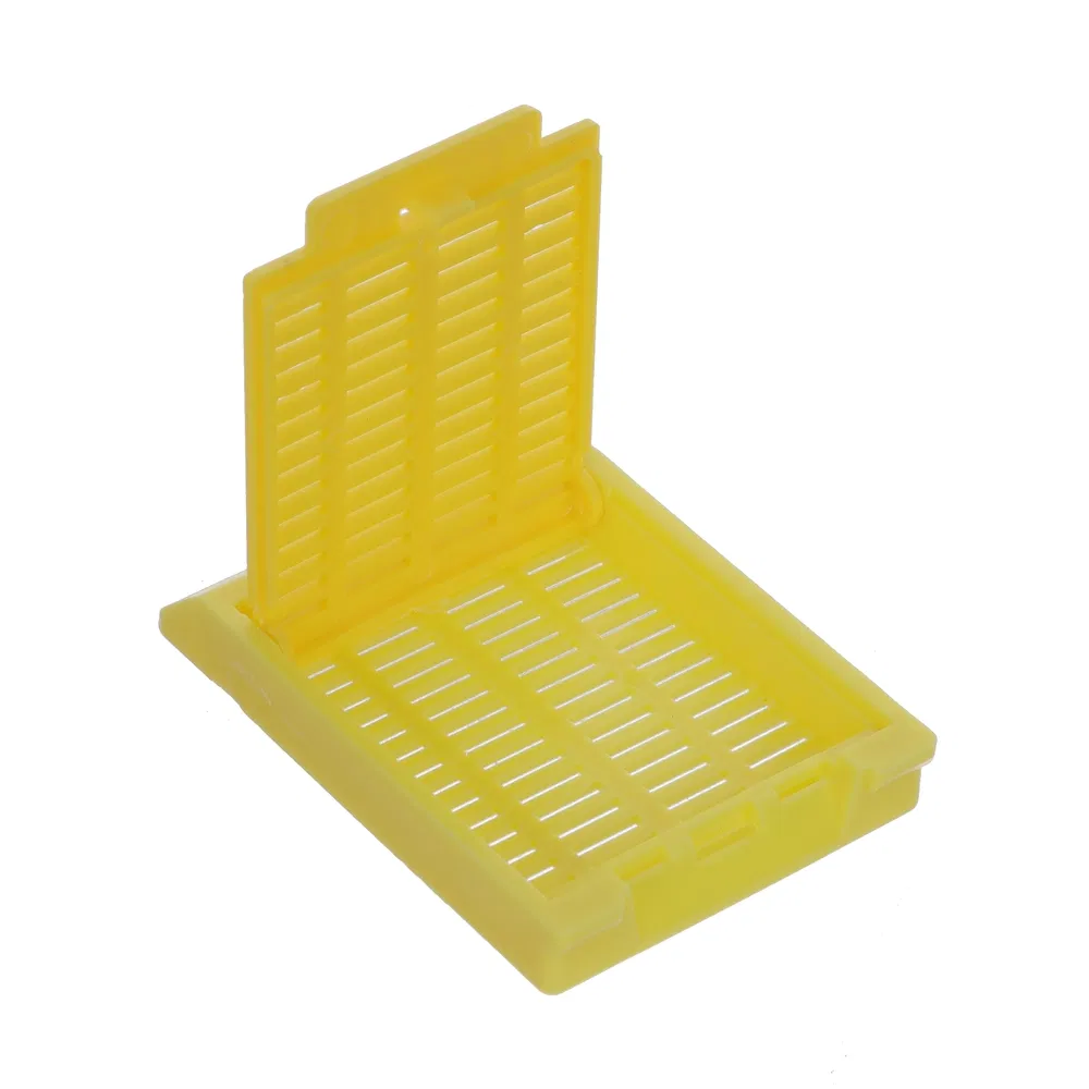 ~!phoenix_varIMG63!~