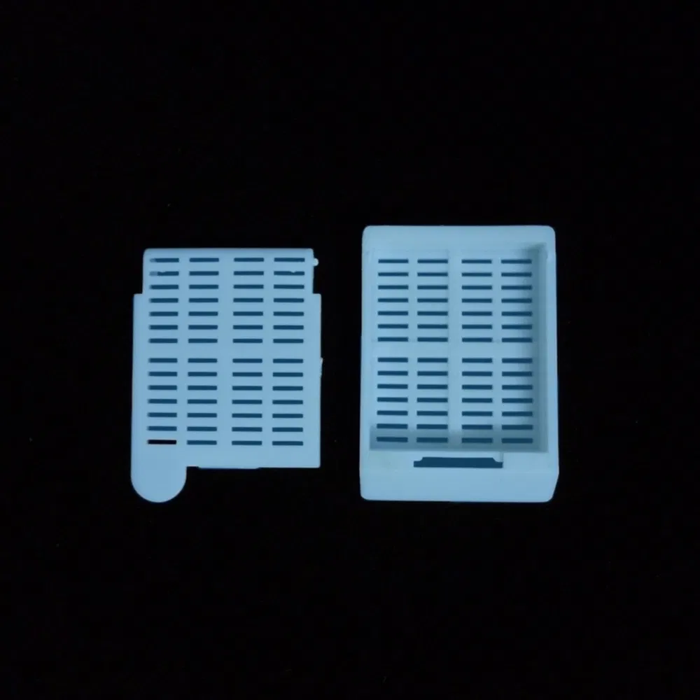 ~!phoenix_varIMG63!~