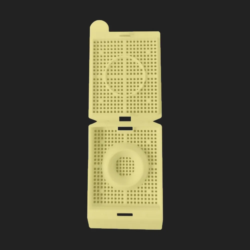 ~!phoenix_varIMG63!~