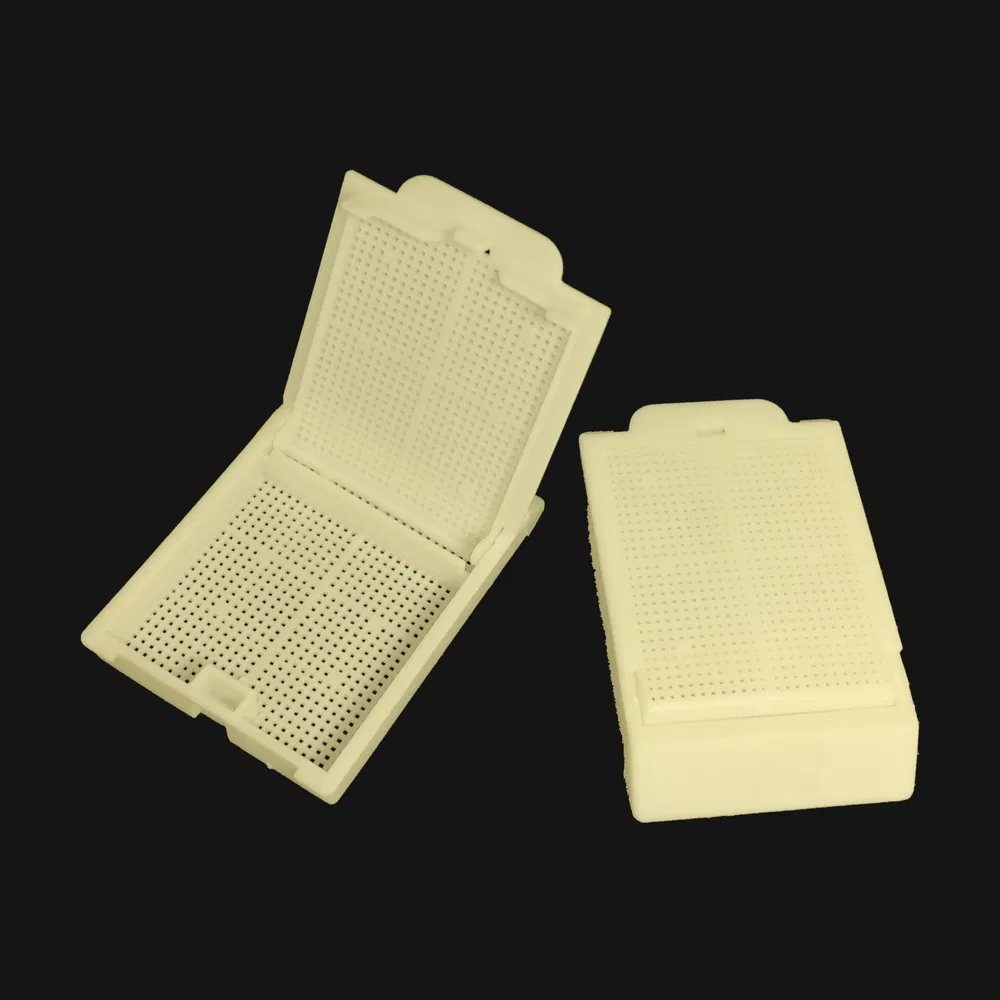 ~!phoenix_varIMG63!~